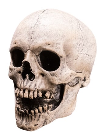 Fear Street Skull Mask Killer Mask Gallery Image 2