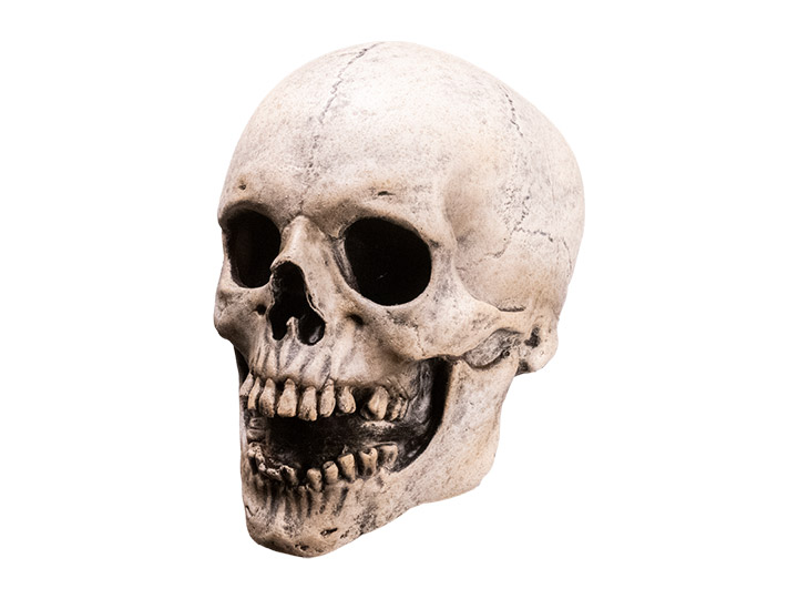 Fear Street Skull Mask Killer Mask Gallery Image 1