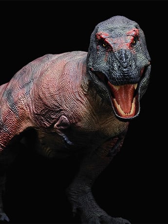 Tyrannosaurus Rex (Kiss Mountain Ver.) 1/35 Scale Replica Gallery Image 2