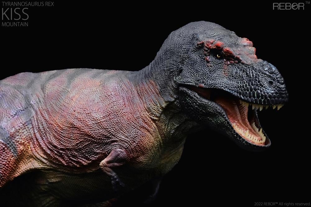 Tyrannosaurus Rex (Kiss Mountain Ver.) 1/35 Scale Replica Gallery Image 6