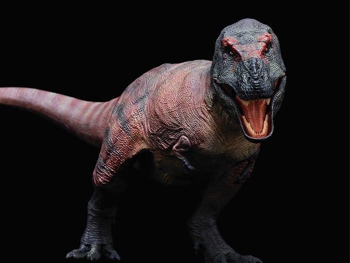 Tyrannosaurus Rex (Kiss Mountain Ver.) 1/35 Scale Replica Gallery Image 1