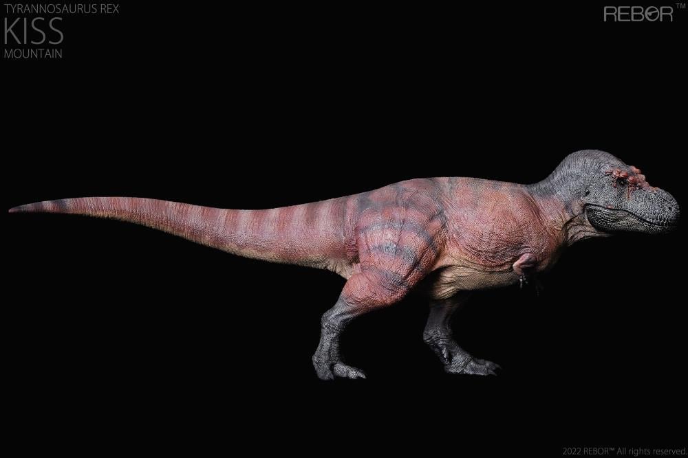 Tyrannosaurus Rex (Kiss Mountain Ver.) 1/35 Scale Replica Gallery Image 4
