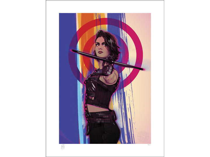 Birds of Prey: Huntress Fine Art Print Gallery Image 1