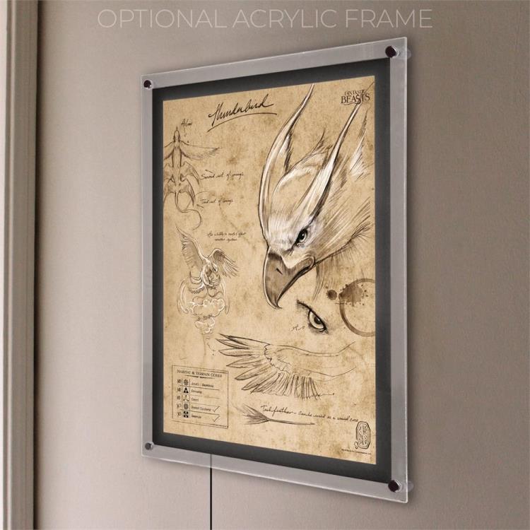 Fantastic Beasts And Where To Find Them Thunderbird Sketchbook MightyPrint Wall Art Gallery Image 8