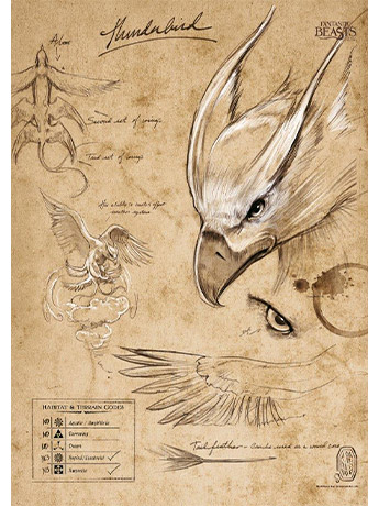 Fantastic Beasts And Where To Find Them Thunderbird Sketchbook MightyPrint Wall Art Gallery Image 2