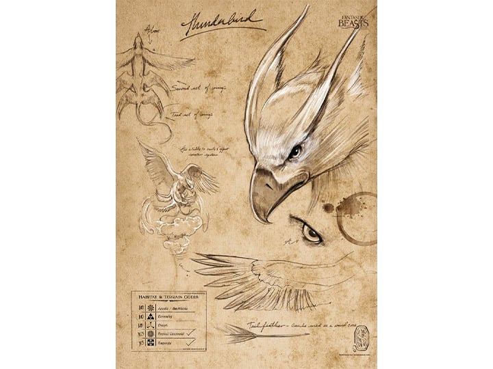 Fantastic Beasts And Where To Find Them Thunderbird Sketchbook MightyPrint Wall Art Gallery Image 1