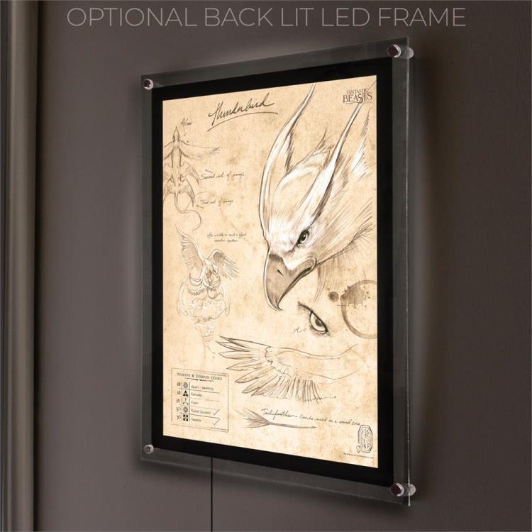 Fantastic Beasts And Where To Find Them Thunderbird Sketchbook MightyPrint Wall Art Gallery Image 9