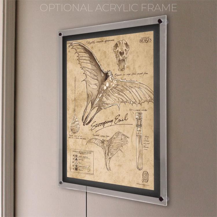 Fantastic Beasts And Where To Find Them Swooping Evil Sketchbook MightyPrint Wall Art Gallery Image 8