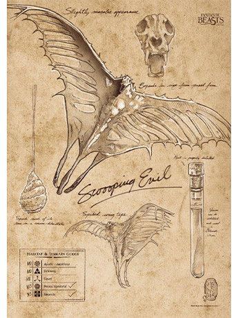 Fantastic Beasts And Where To Find Them Swooping Evil Sketchbook MightyPrint Wall Art Gallery Image 2