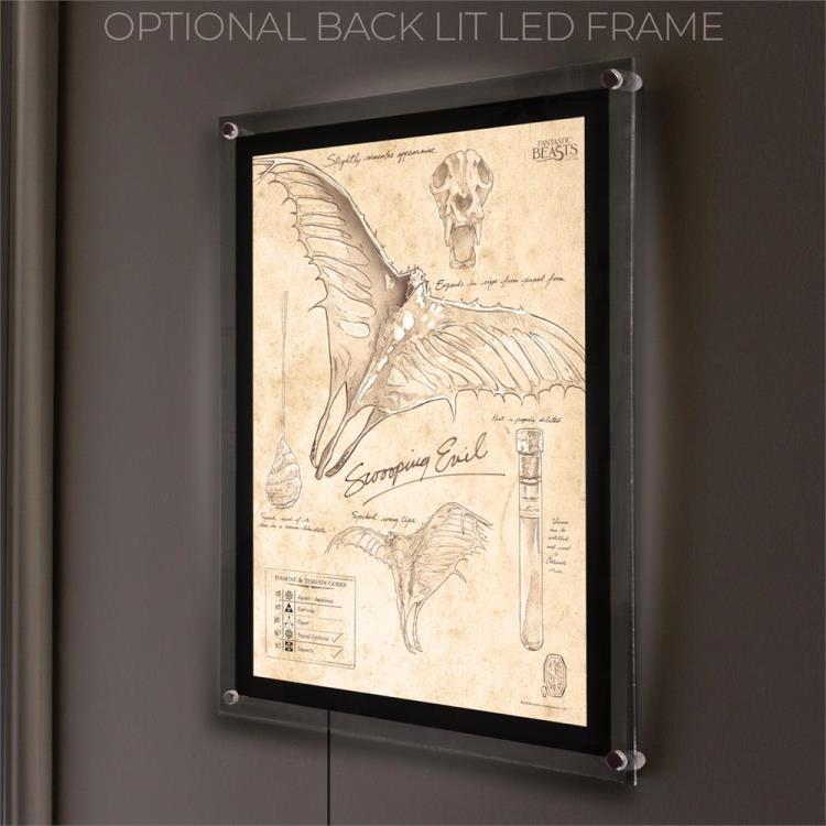 Fantastic Beasts And Where To Find Them Swooping Evil Sketchbook MightyPrint Wall Art Gallery Image 9
