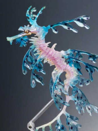 The Diversity of Life on Earth Leafy Sea Dragon (Blue) Exclusive Figure Gallery Image 2