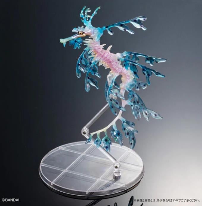 The Diversity of Life on Earth Leafy Sea Dragon (Blue) Exclusive Figure Gallery Image 4