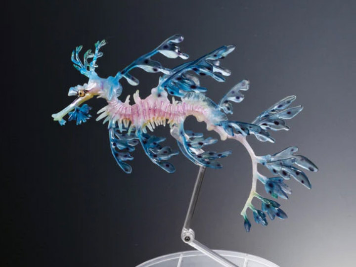 The Diversity of Life on Earth Leafy Sea Dragon (Blue) Exclusive Figure Gallery Image 1