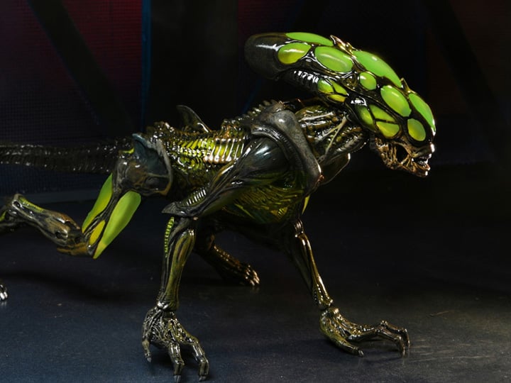 Aliens: Fireteam Elite Burster Alien Action Figure Gallery Image 1