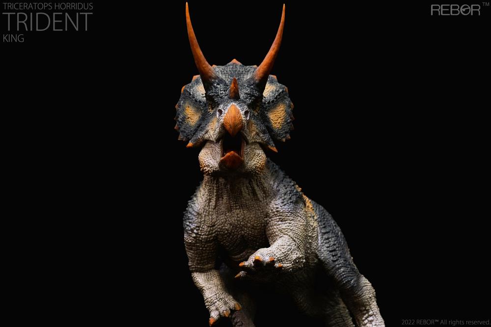 Triceratops horridus Alpha Male "Trident" (King Ver.) 1/35 Scale Replica Gallery Image 7