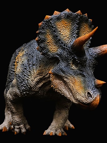 Triceratops horridus Alpha Male "Trident" (King Ver.) 1/35 Scale Replica Gallery Image 2