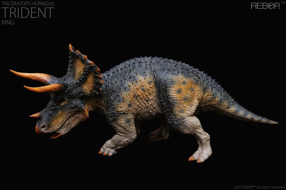 Triceratops horridus Alpha Male "Trident" (King Ver.) 1/35 Scale Replica Gallery Image 4