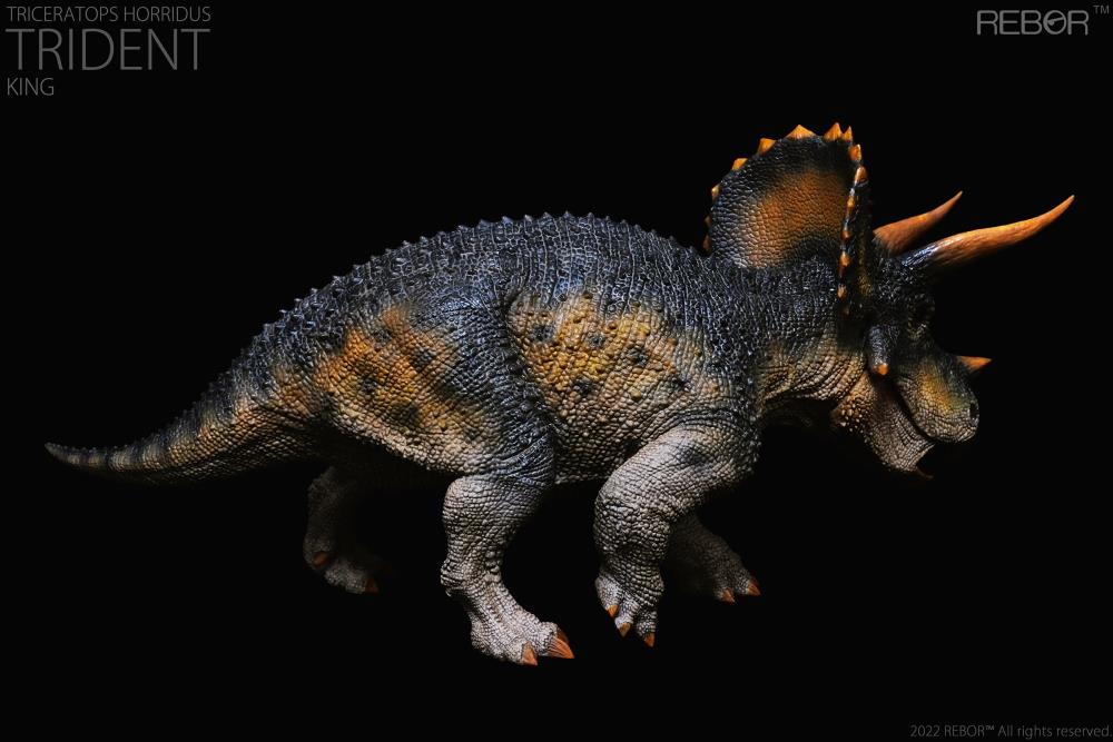 Triceratops horridus Alpha Male "Trident" (King Ver.) 1/35 Scale Replica Gallery Image 5