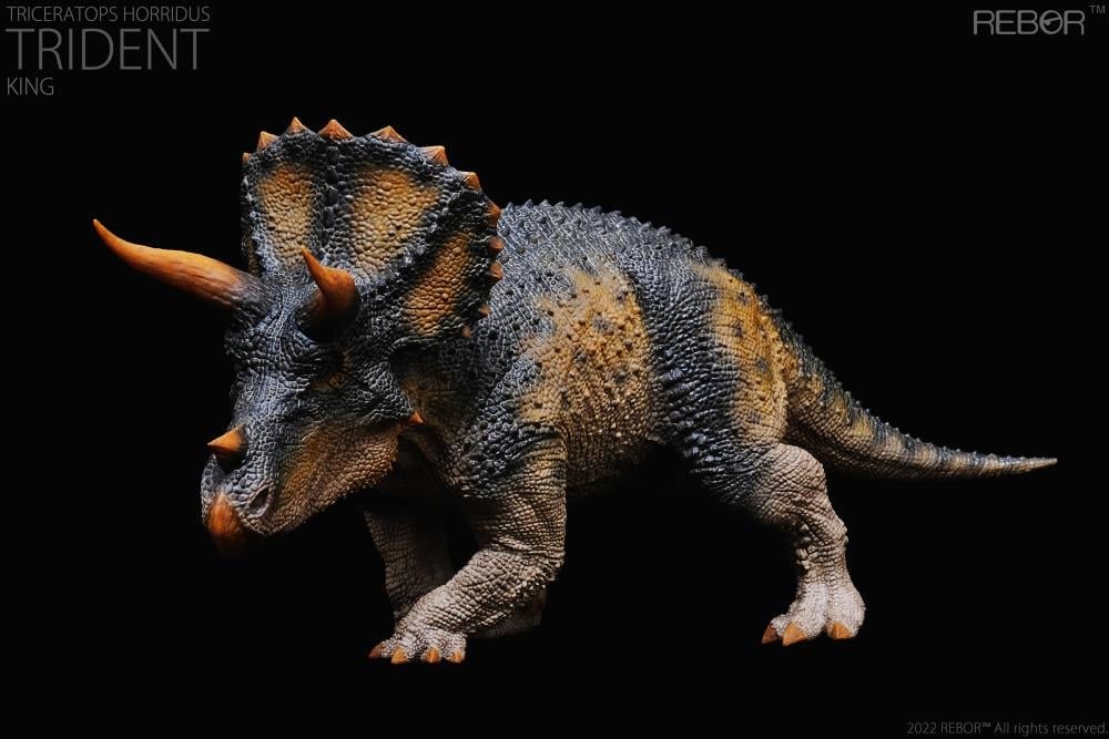 Triceratops horridus Alpha Male "Trident" (King Ver.) 1/35 Scale Replica Gallery Image 3