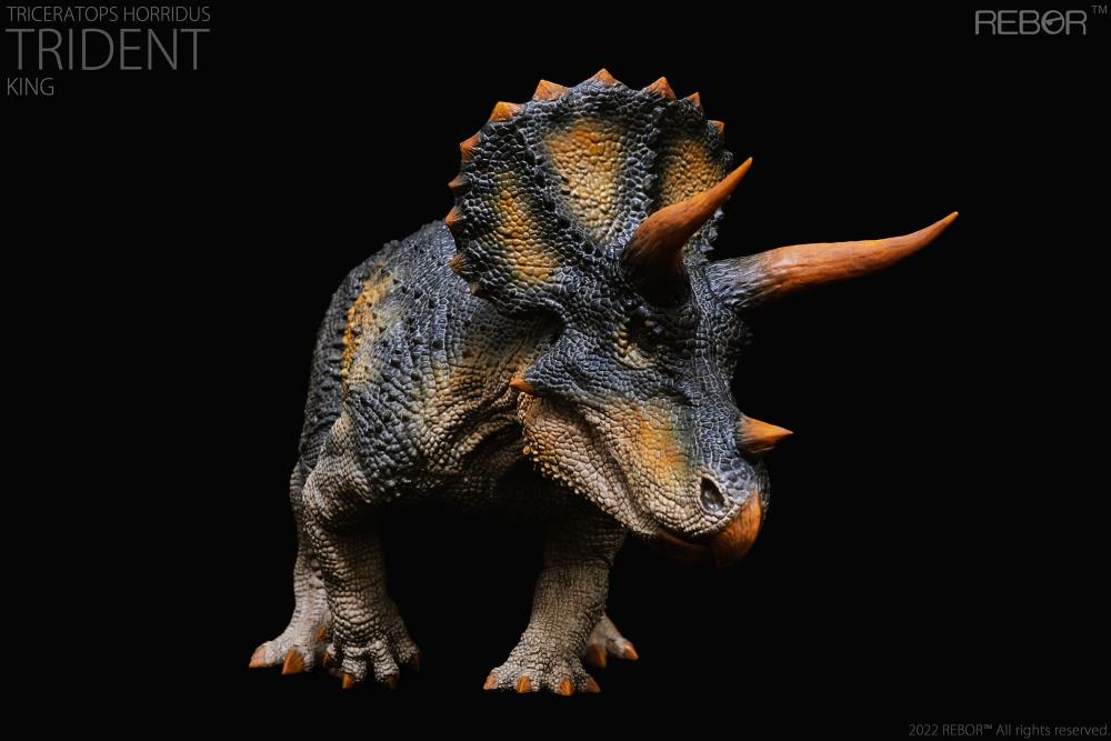 Triceratops horridus Alpha Male "Trident" (King Ver.) 1/35 Scale Replica Gallery Image 6