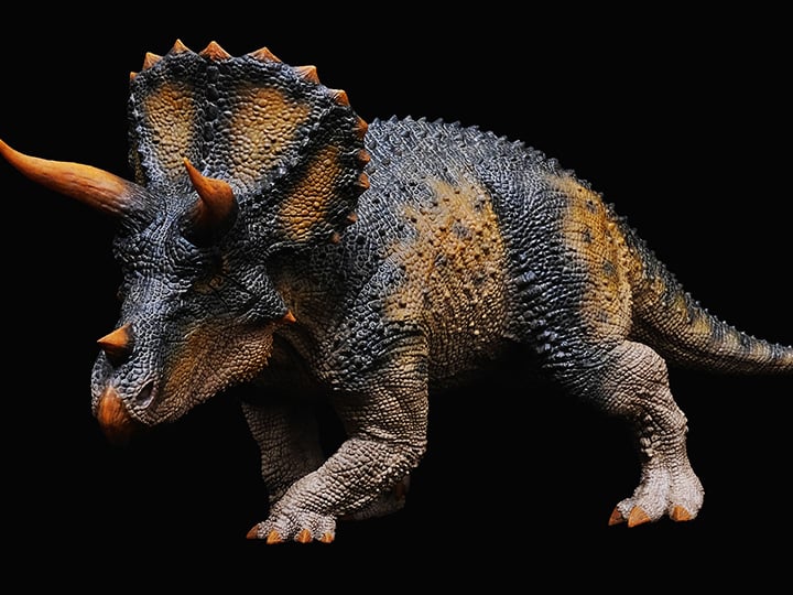 Triceratops horridus Alpha Male "Trident" (King Ver.) 1/35 Scale Replica Gallery Image 1