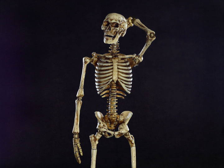 1/6 Scale Human Skeleton Body 2.0 (New Metal Joint) Gallery Image 1