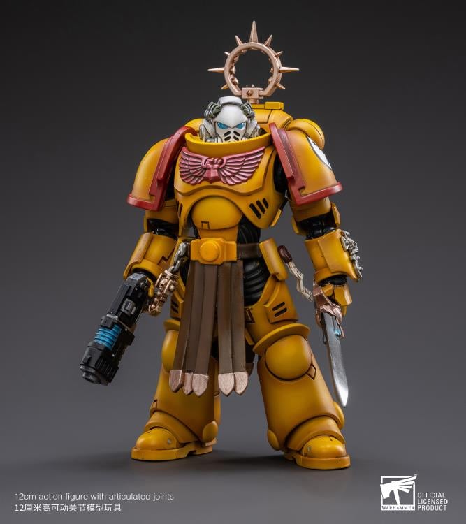 Warhammer 40K Imperial Fists Veteran Brother Thracius 1/18 Scale Figure Gallery Image 4