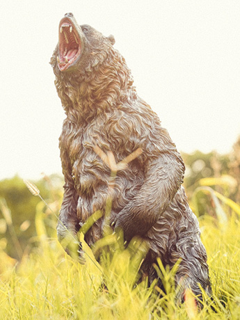 Brown Bear (Ver. A) 1/6 Scale Figure