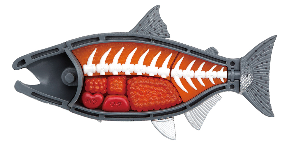 King Salmon Kaitai Puzzle Gallery Image 10