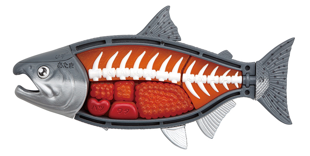 King Salmon Kaitai Puzzle Gallery Image 9