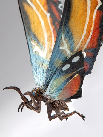 Godzilla: King of the Monsters Mothra Action Figure Gallery Image 2