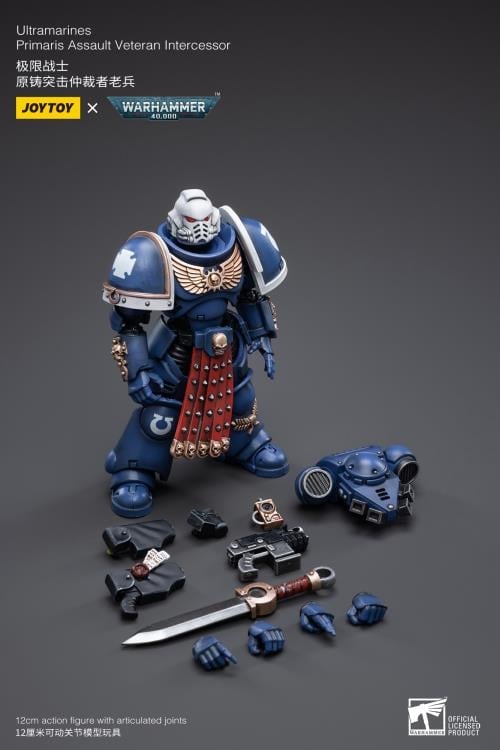Warhammer 40K Ultramarines Veteran Intercessor 1/18 Scale Figure Gallery Image 9