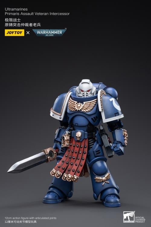 Warhammer 40K Ultramarines Veteran Intercessor 1/18 Scale Figure Gallery Image 3