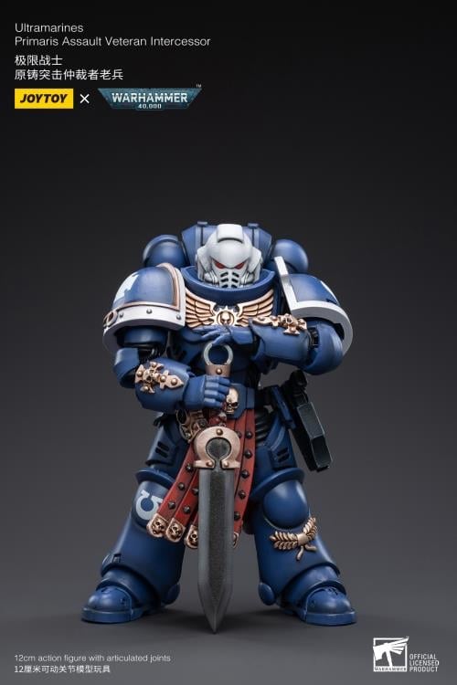 Warhammer 40K Ultramarines Veteran Intercessor 1/18 Scale Figure Gallery Image 4