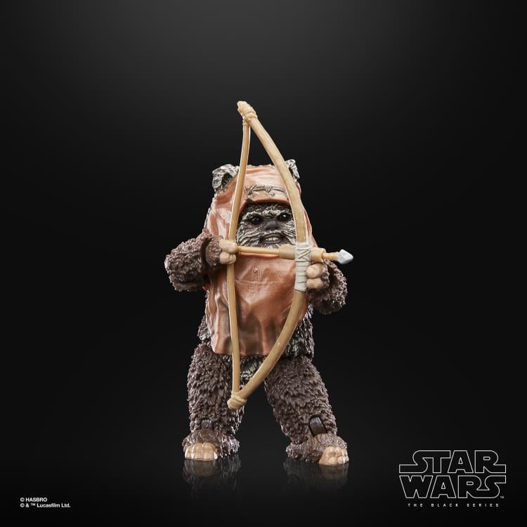 Star Wars 40th Anniversary The Black Series 6" Wicket (Return of the Jedi) Gallery Image 10
