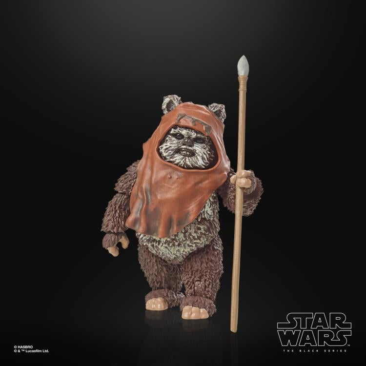 Star Wars 40th Anniversary The Black Series 6" Wicket (Return of the Jedi) Gallery Image 14