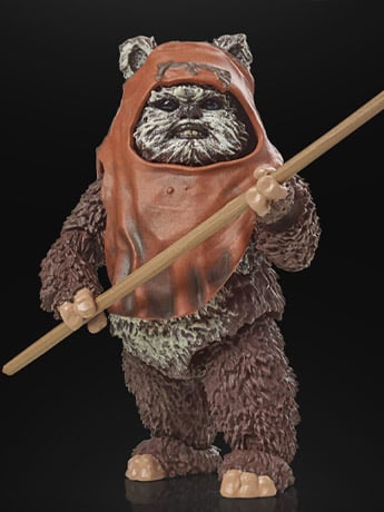Star Wars 40th Anniversary The Black Series 6" Wicket (Return of the Jedi) Gallery Image 2