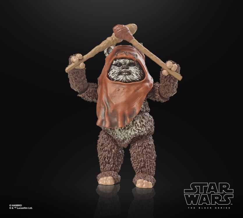 Star Wars 40th Anniversary The Black Series 6" Wicket (Return of the Jedi) Gallery Image 7