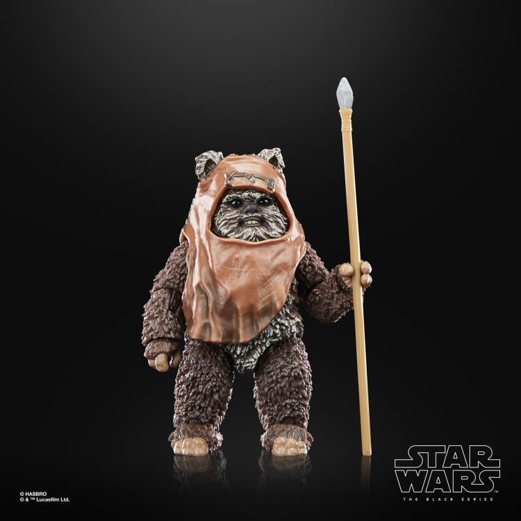Star Wars 40th Anniversary The Black Series 6" Wicket (Return of the Jedi) Gallery Image 11