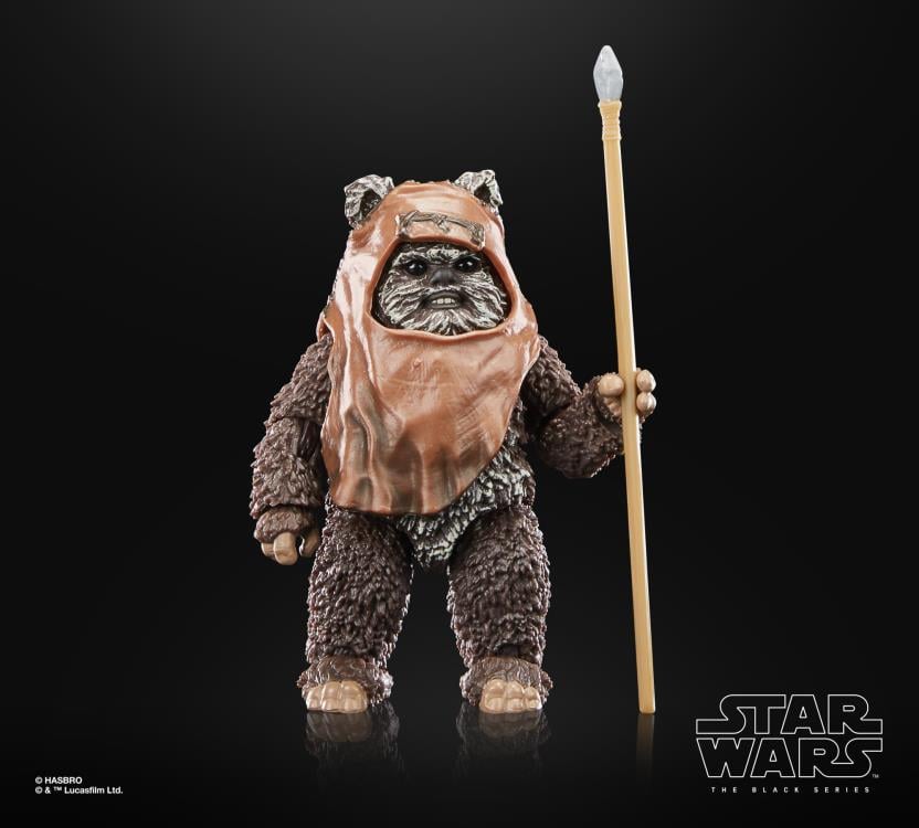 Star Wars 40th Anniversary The Black Series 6" Wicket (Return of the Jedi) Gallery Image 4