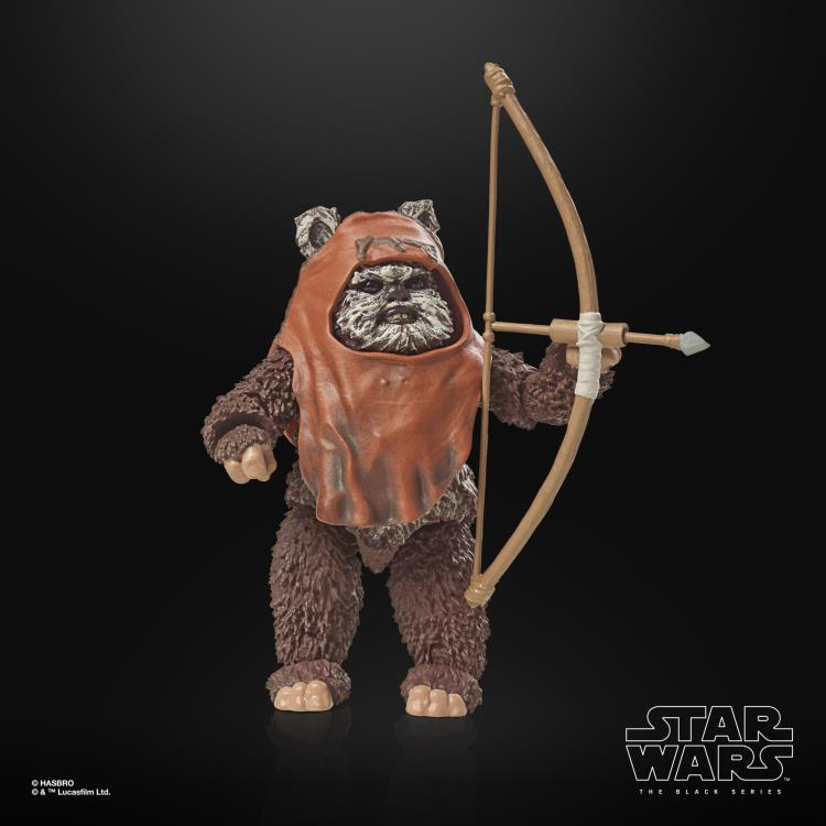 Star Wars 40th Anniversary The Black Series 6" Wicket (Return of the Jedi) Gallery Image 16