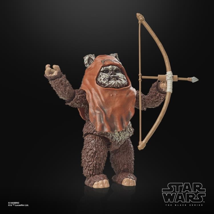 Star Wars 40th Anniversary The Black Series 6" Wicket (Return of the Jedi) Gallery Image 15