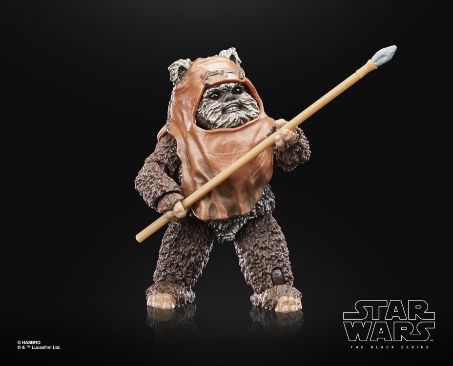 Star Wars 40th Anniversary The Black Series 6" Wicket (Return of the Jedi) Gallery Image 3