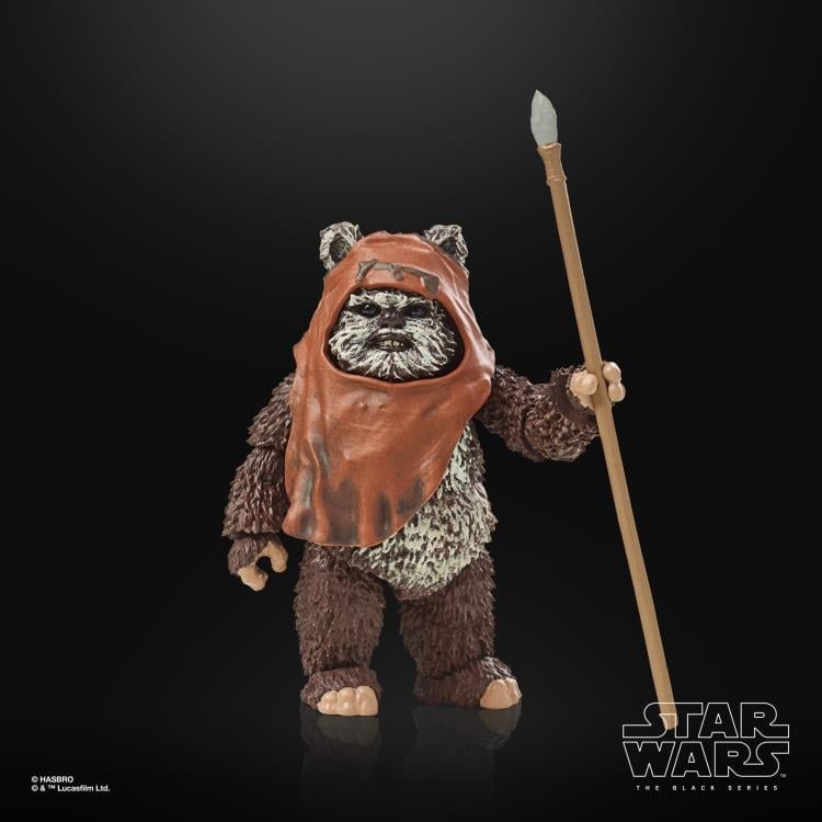 Star Wars 40th Anniversary The Black Series 6" Wicket (Return of the Jedi) Gallery Image 13