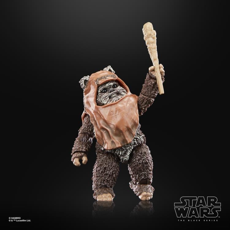 Star Wars 40th Anniversary The Black Series 6" Wicket (Return of the Jedi) Gallery Image 12