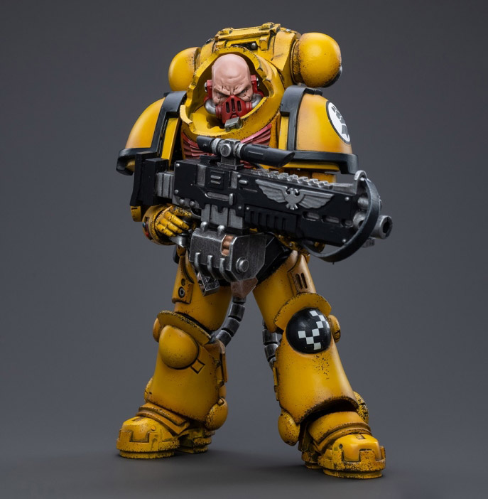 Warhammer 40K Imperial Fists Heavy Intercessor Rogfried Pertanal  1/18 Scale Figure Gallery Image 5