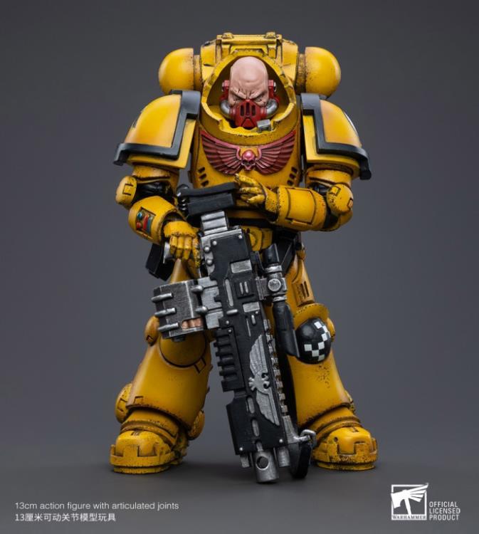Warhammer 40K Imperial Fists Heavy Intercessor Rogfried Pertanal  1/18 Scale Figure Gallery Image 3