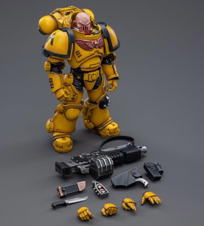 Warhammer 40K Imperial Fists Heavy Intercessor Rogfried Pertanal  1/18 Scale Figure Gallery Image 8