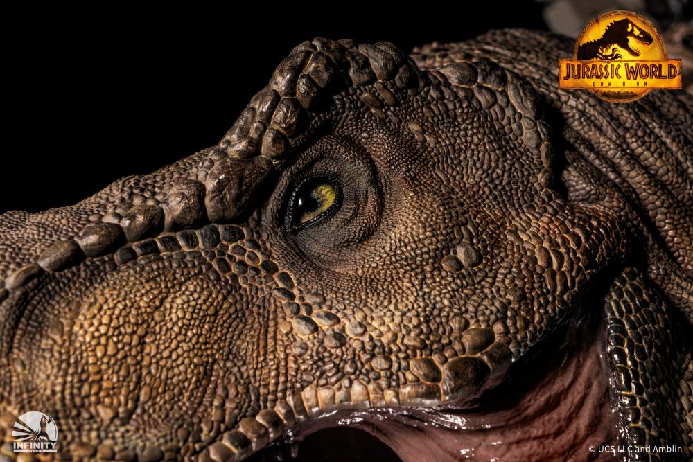 Jurassic World: Dominion Tyrannosaurus Rex Wall-Mounted Bust with Display Stand Gallery Image 25