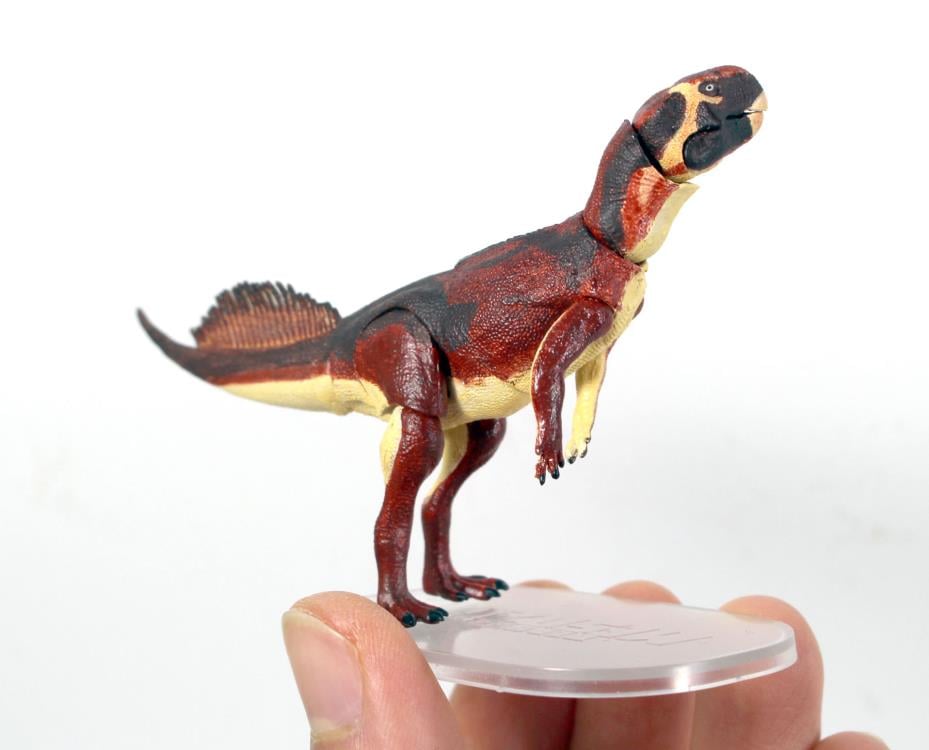 Beasts of the Mesozoic Psittacosaurus mongoliensis 1/18 Scale Figure Gallery Image 5